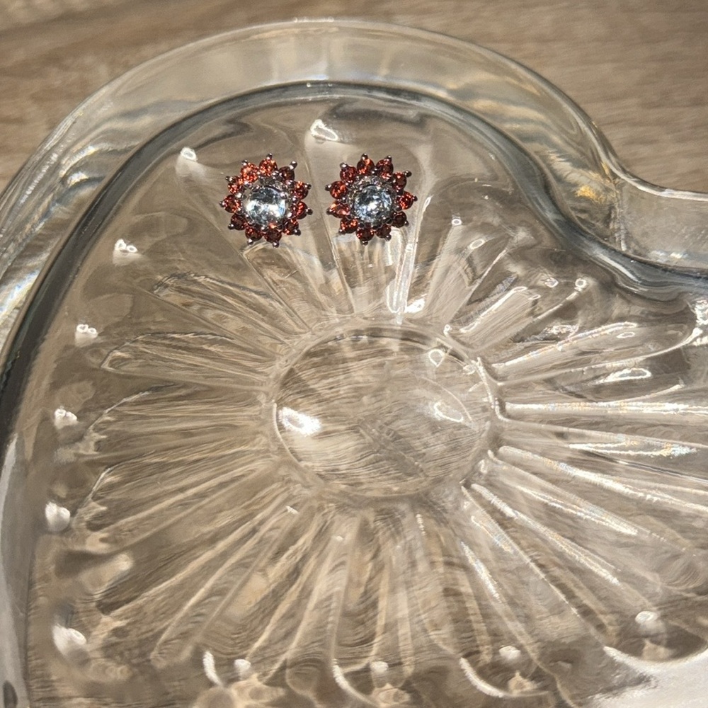 2 for $12 🎉 Red and Blue Stud Earrings